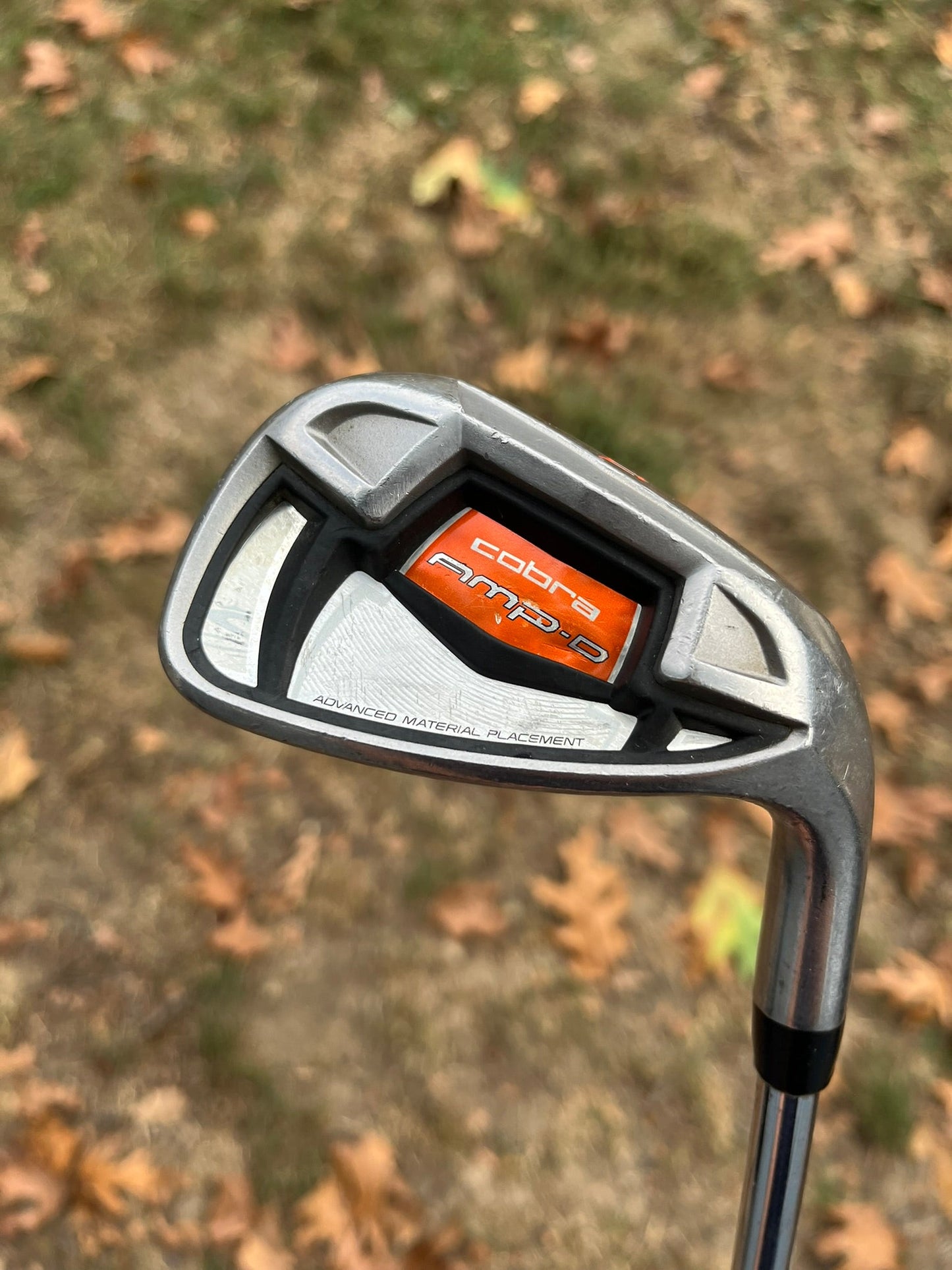 AMP-D Wedge