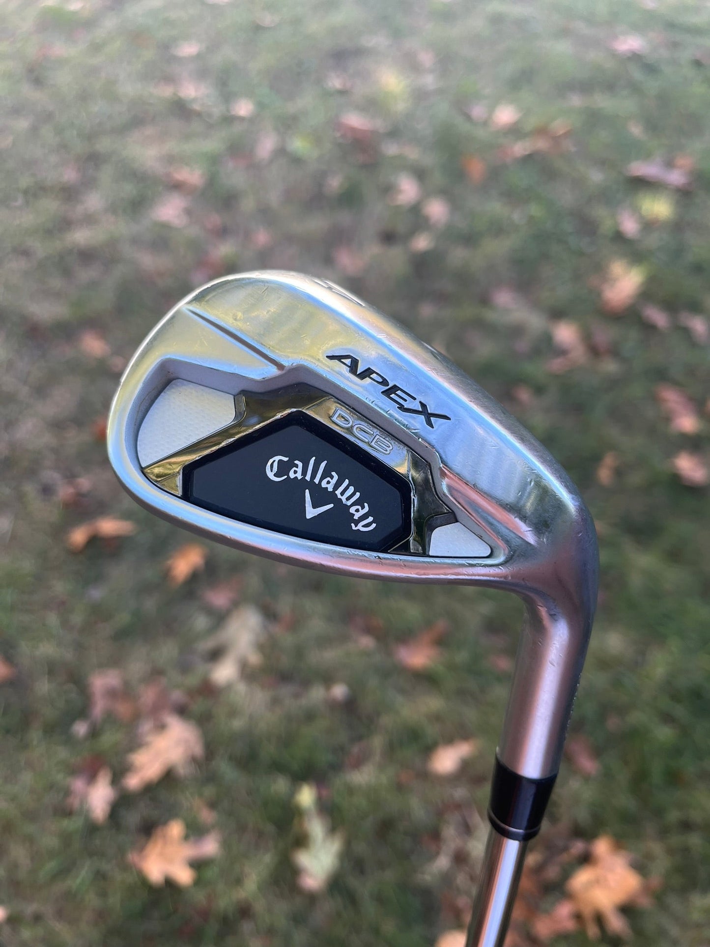 Apex DCB 21 Wedge