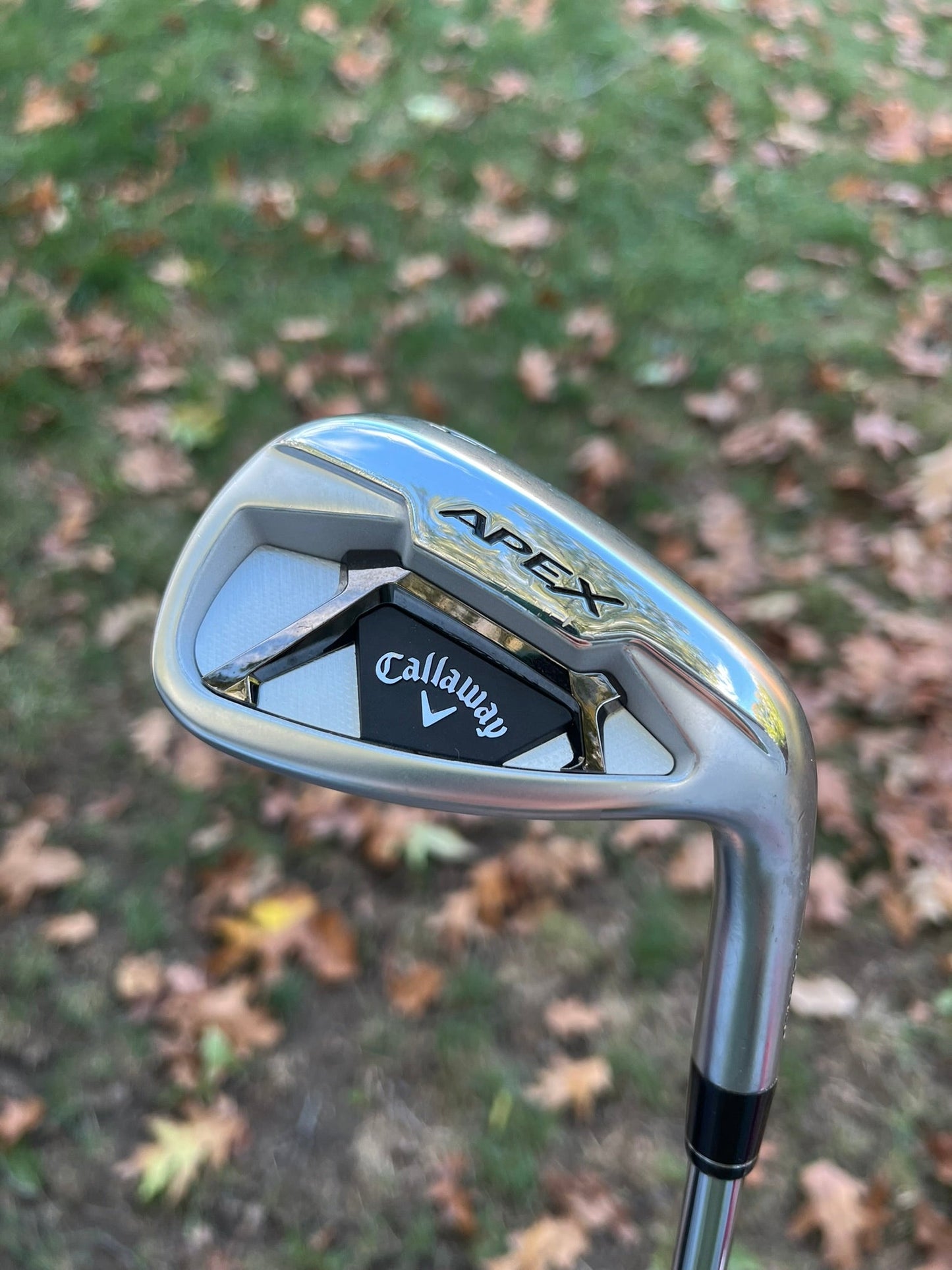 Apex 21 Wedge