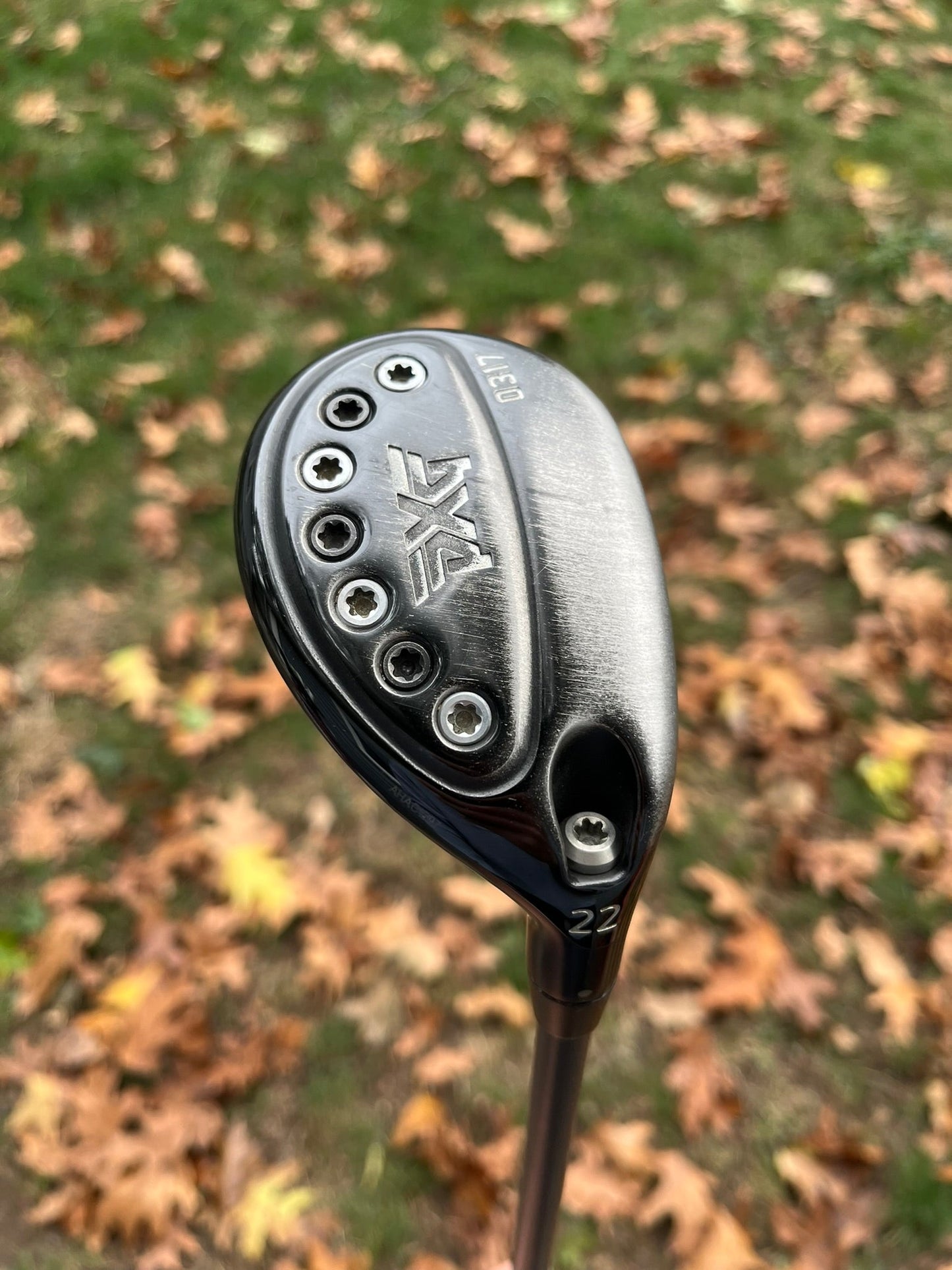 317 Hybrid