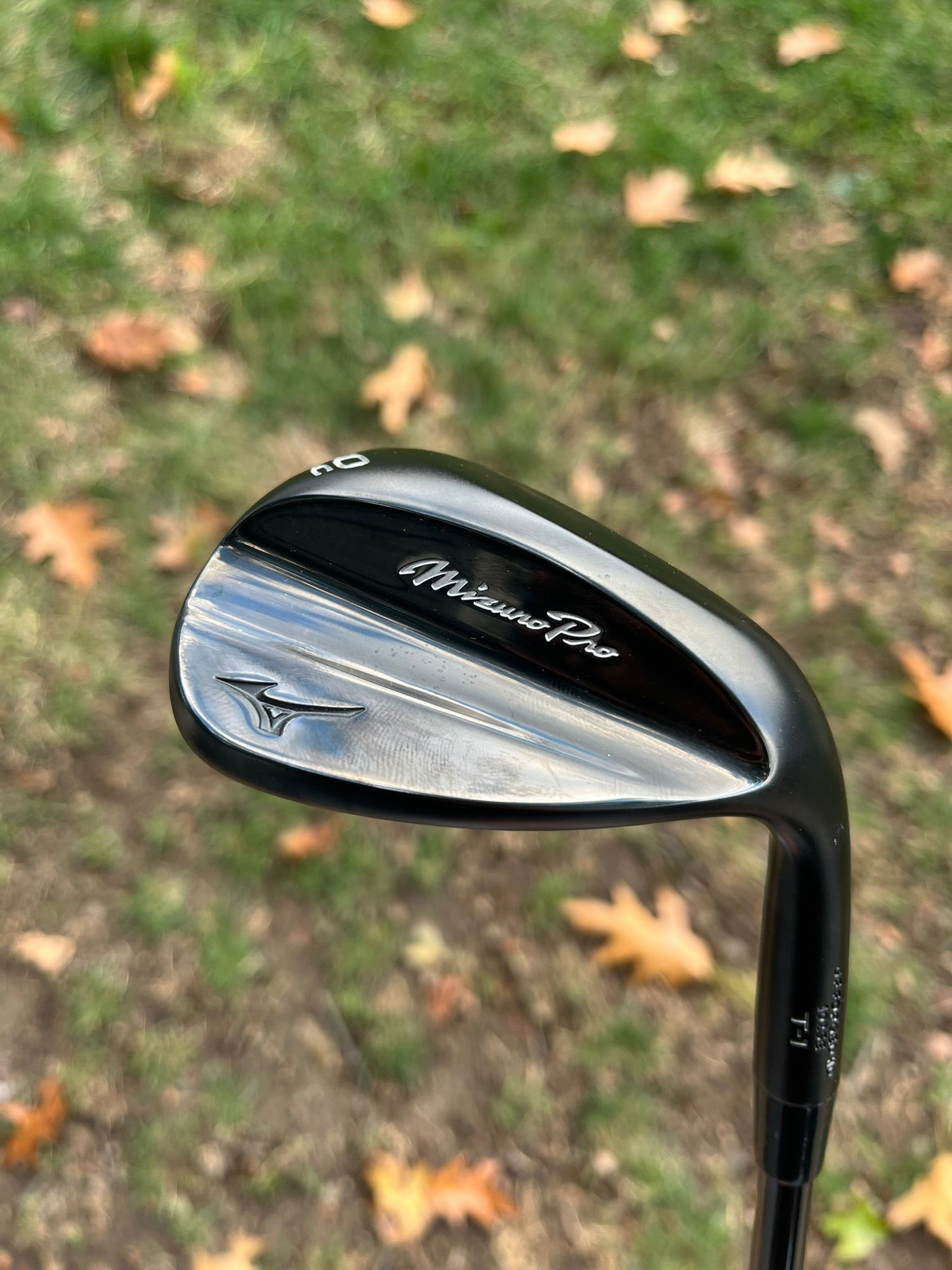 Pro T-1 Black Ion Wedge