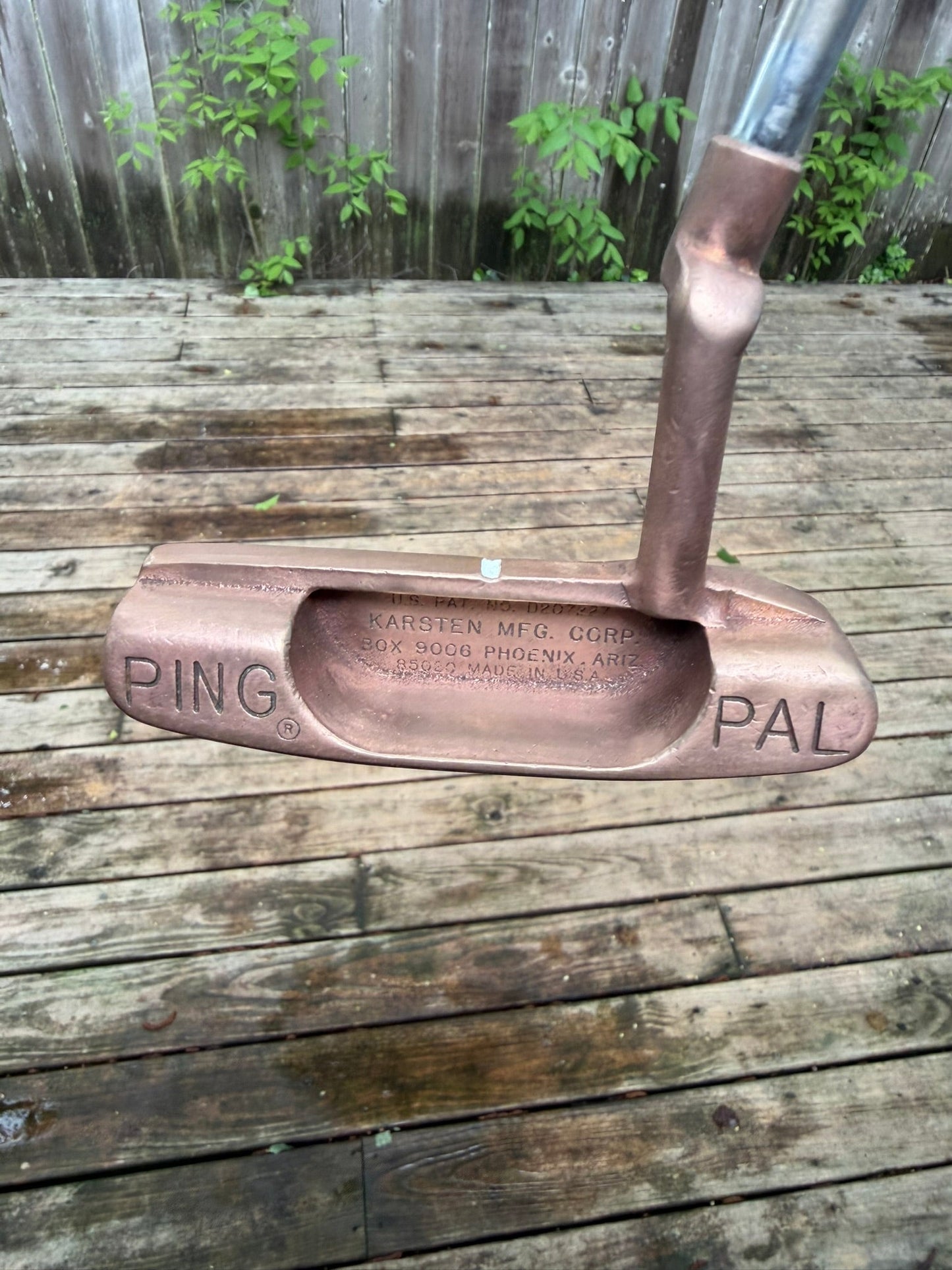 Pal Putter