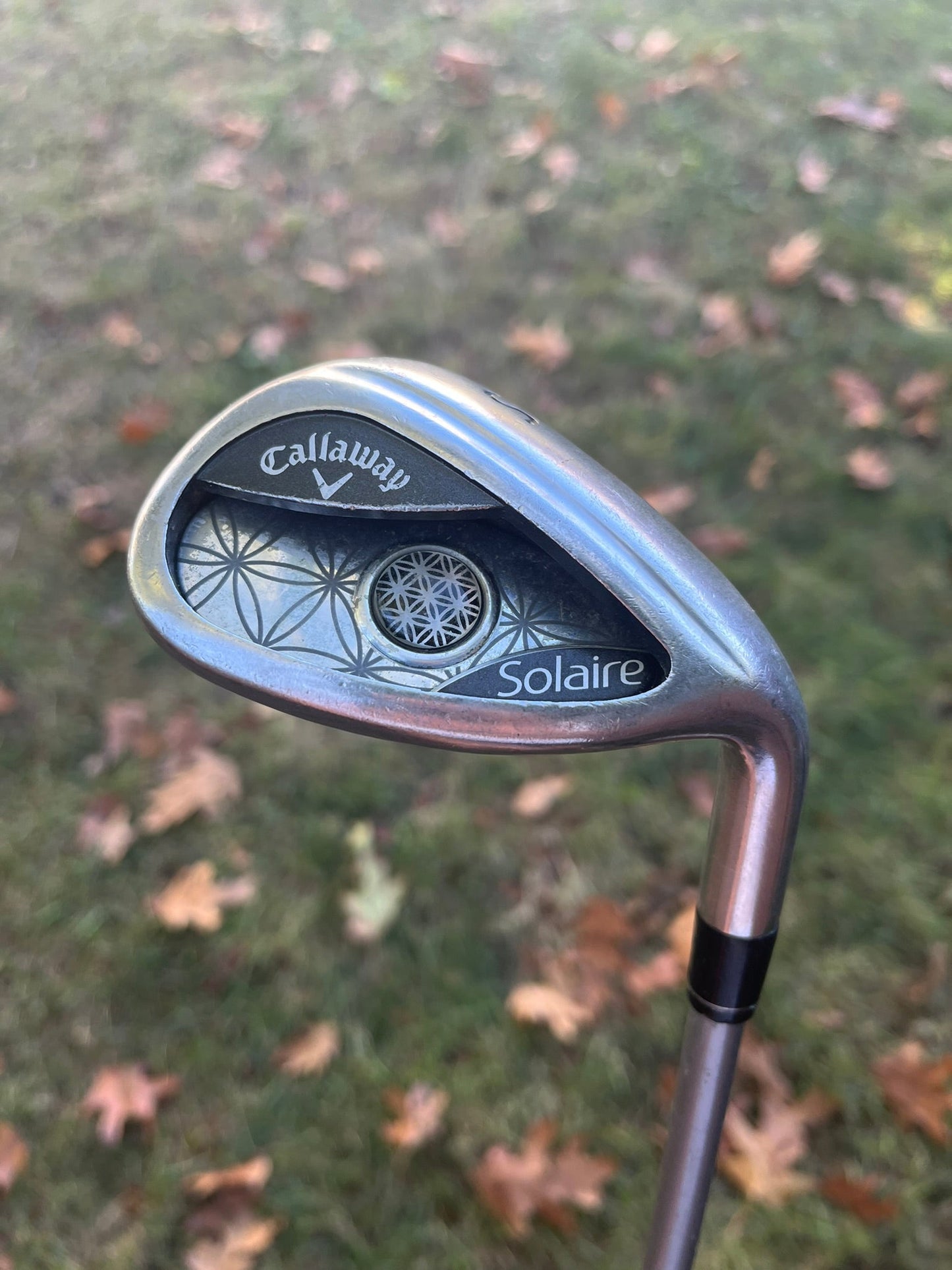2018 Solaire Wedge