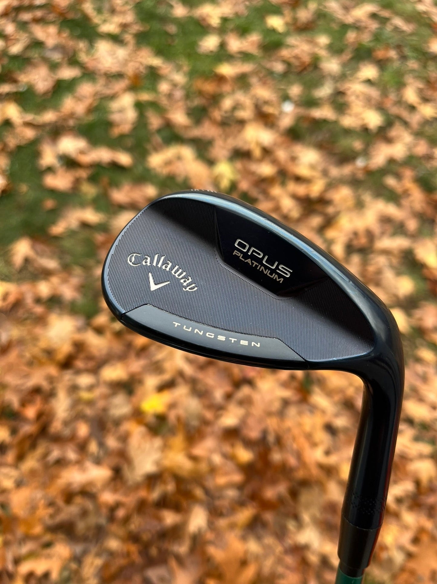 Opus Platinum Blue Wedge