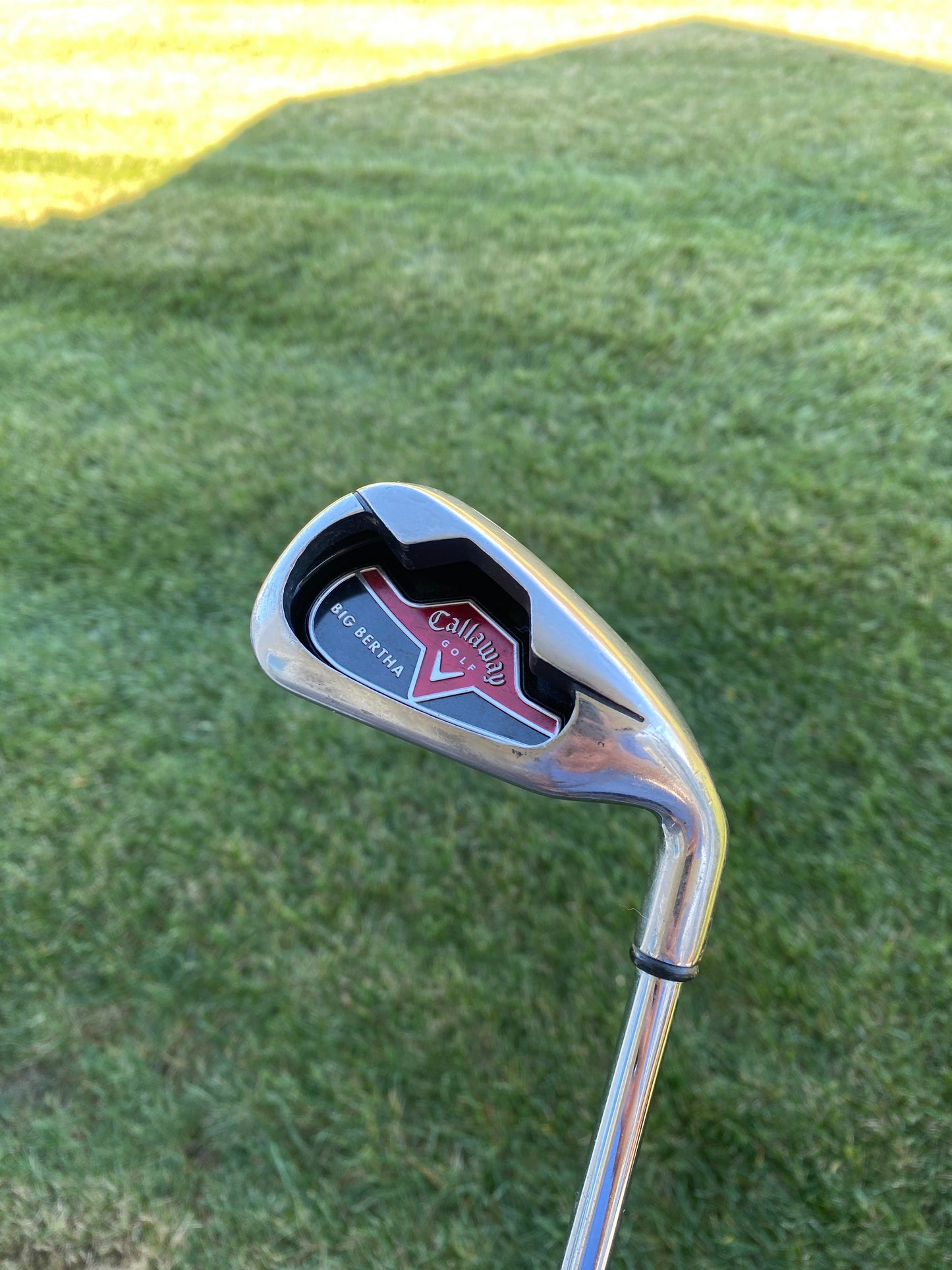 2006 Big Bertha Individual Iron